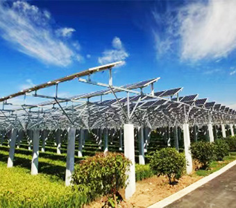 China 9.8mw